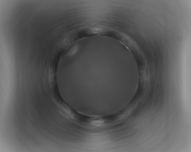 X0000112020653200908101403