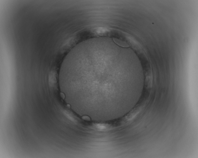 X0000112020654200908101403