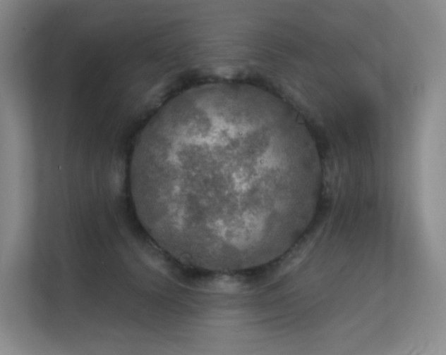 X0000112020656200908101403