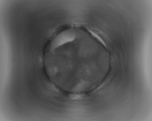 X0000112020661200908101403