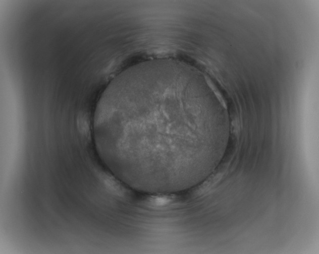 X0000112020662200908101403