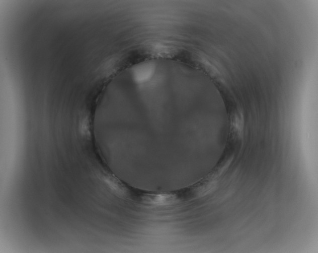 X0000112020663200908101403