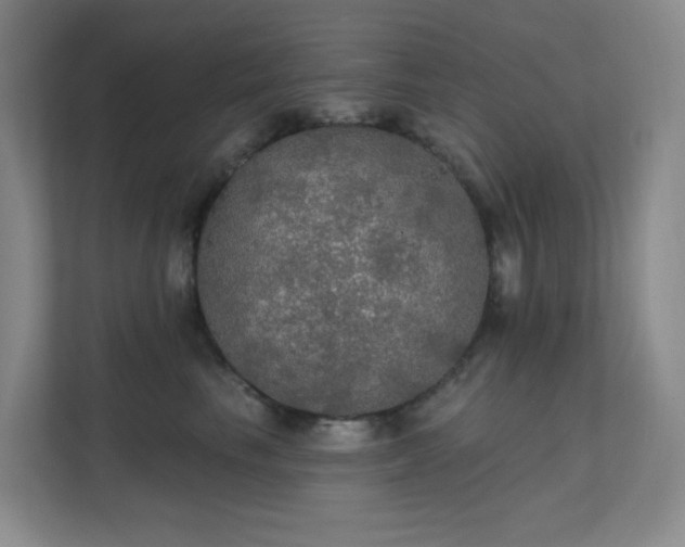 X0000112020665200908101403