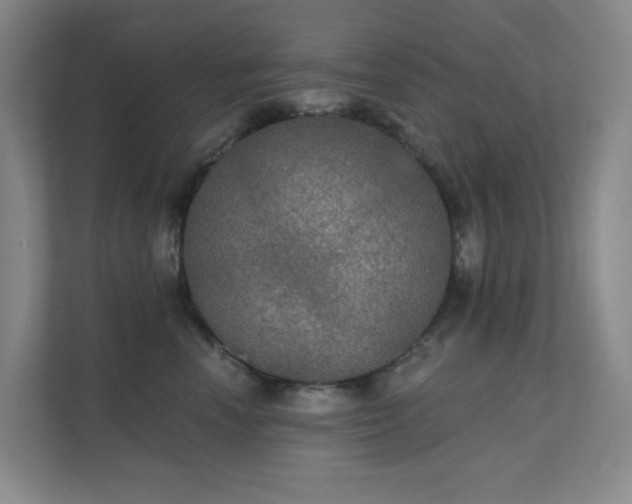 X0000112020666200908101403