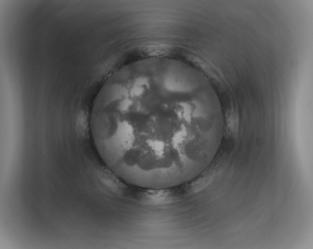 X0000112020667200908101403