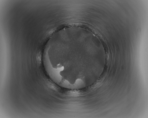 X0000112020668200908101403