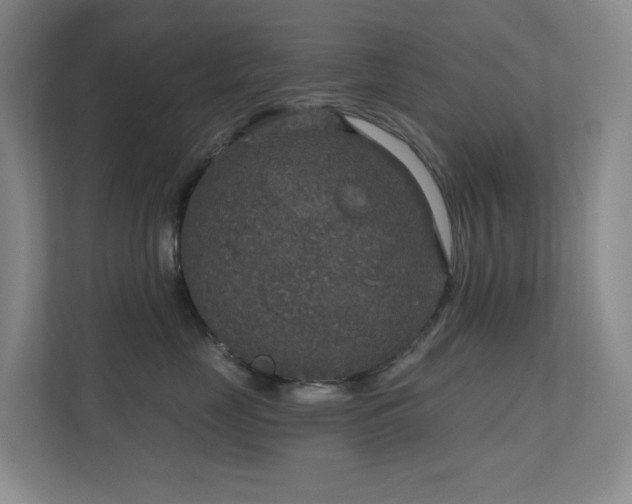 X0000112020669200908101403