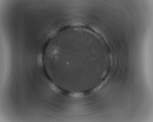 X0000112020670200908101403