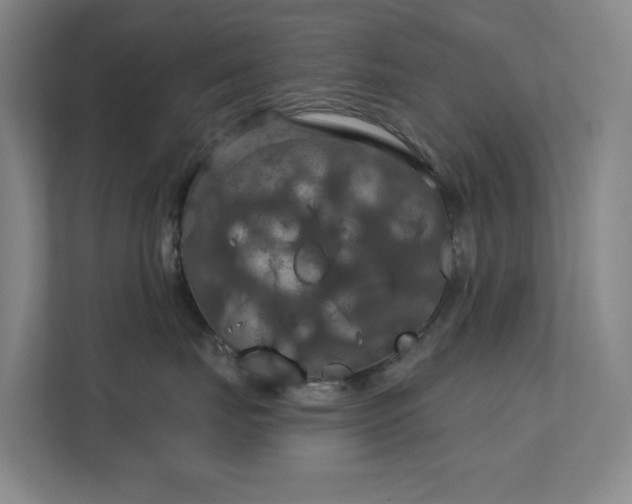 X0000112020671200908101403