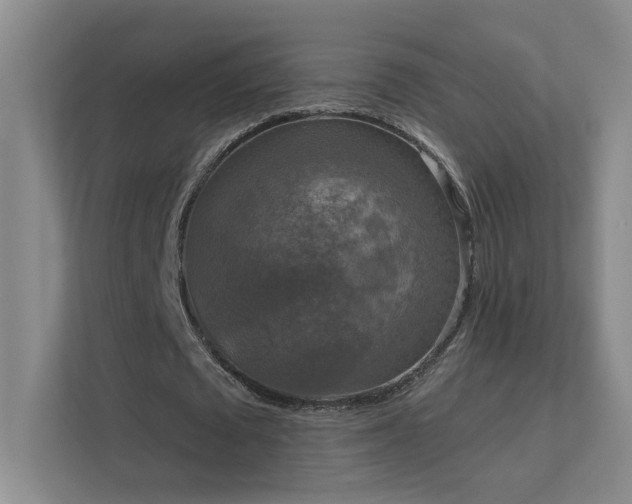 X0000112020673200908101403