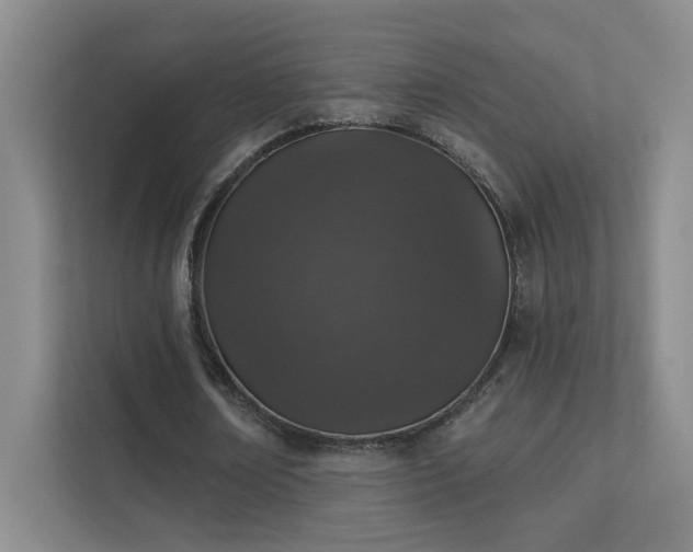 X0000112020674200908101403