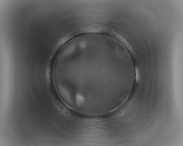 X0000112020675200908101403