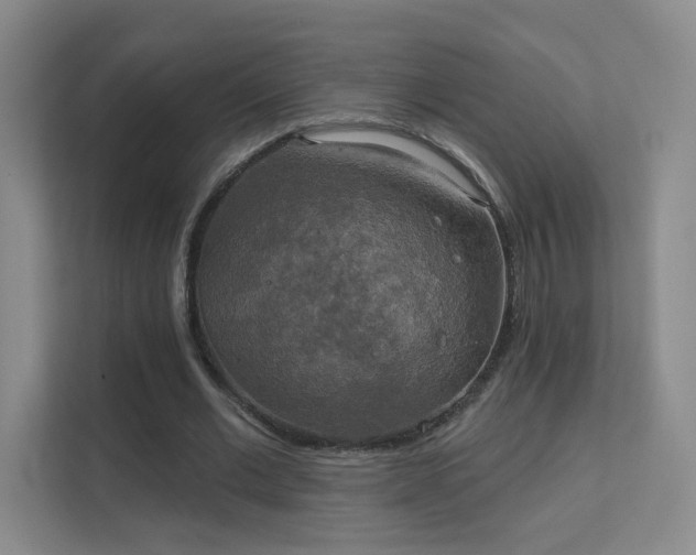 X0000112020677200908101403