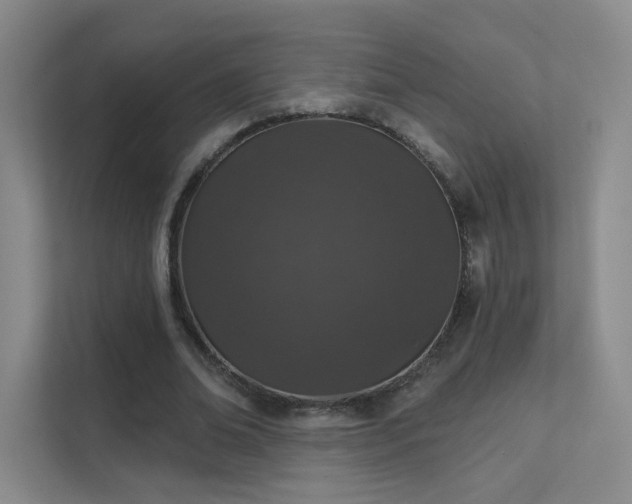 X0000112020678200908101403