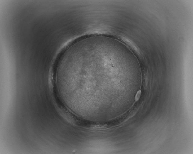 X0000112020680200908101403