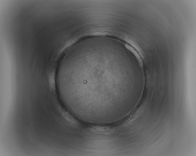 X0000112020681200908101402