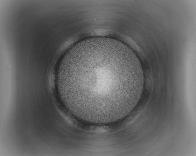 X0000112020683200908101402