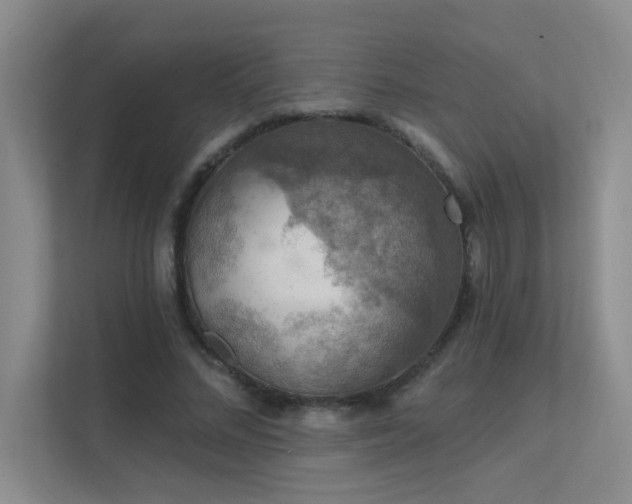 X0000112020684200908101402