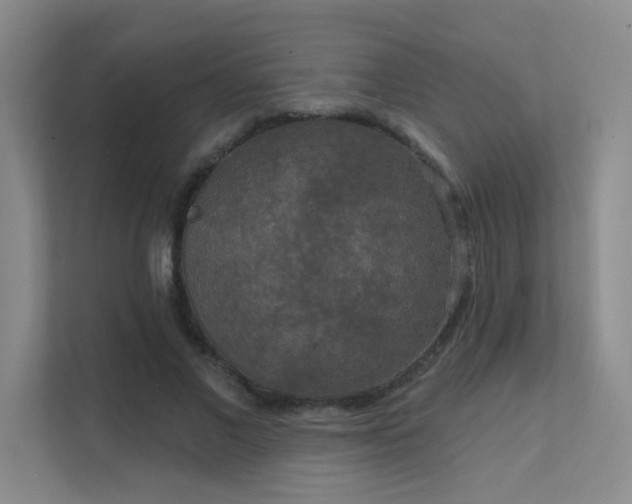 X0000112020685200908101402