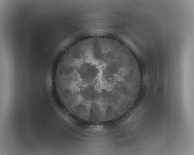 X0000112020687200908101402