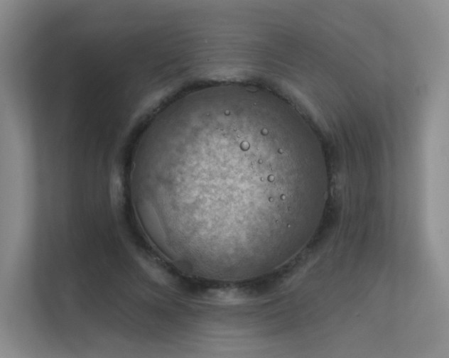 X0000112020688200908101402