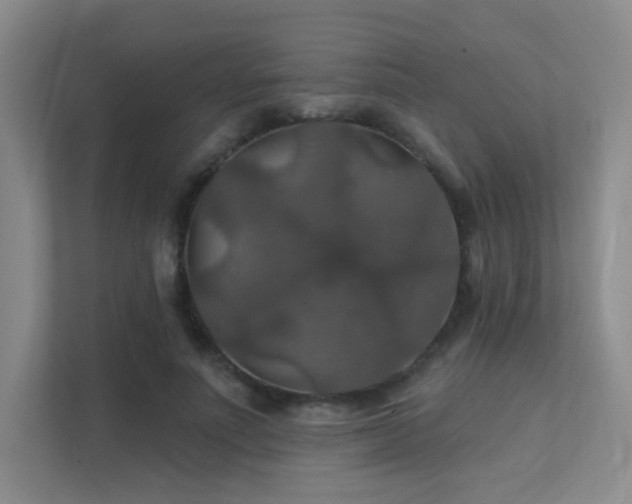 X0000112020691200908101402