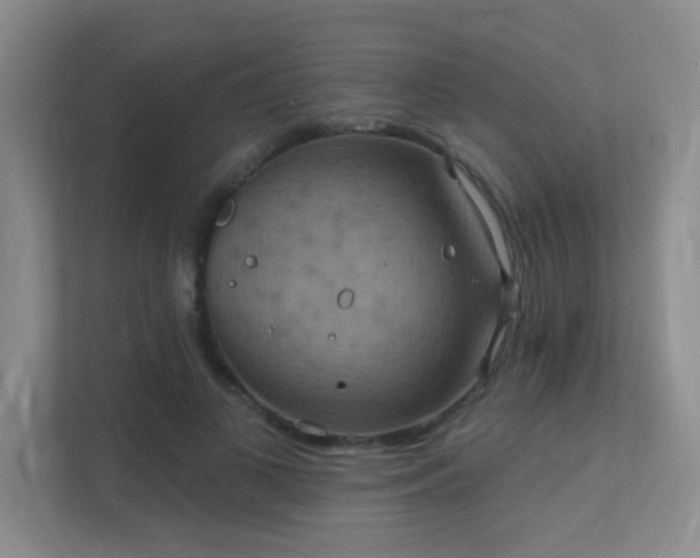 X0000112020693200908101402