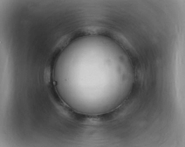 X0000112020694200908101402