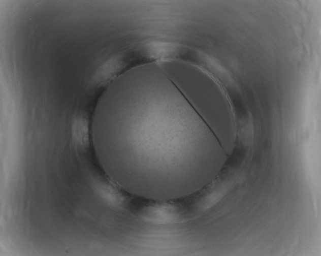 X0000112020696200908101402