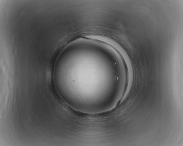 X0000112020697200908101402