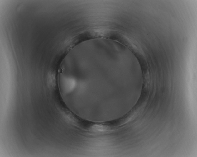 X0000112020699200908101402