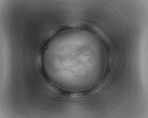 X0000112020700200908101402