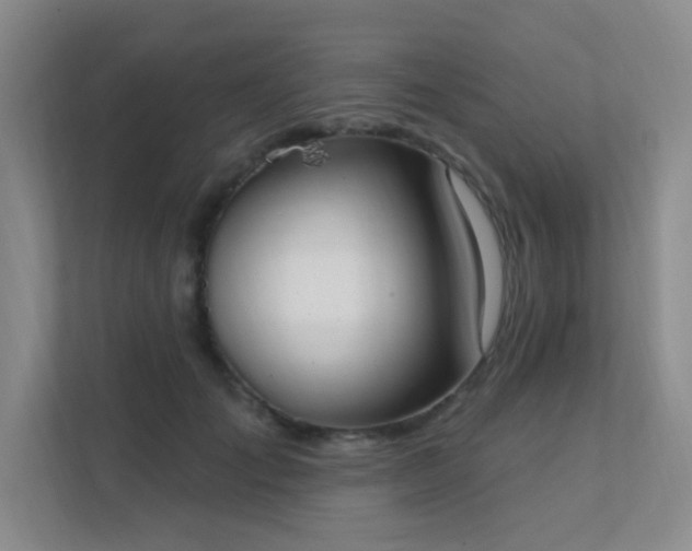 X0000112020701200908101402