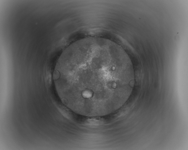 X0000112020703200908101402