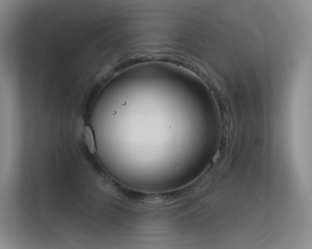 X0000112020704200908101402