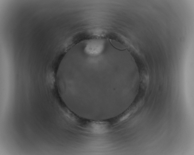 X0000112020707200908101402