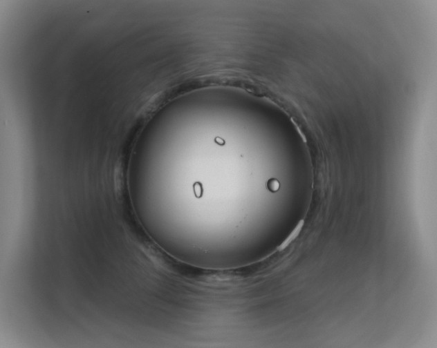 X0000112020708200908101402