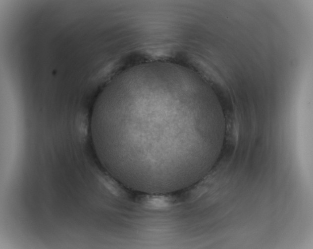 X0000112020710200908101402