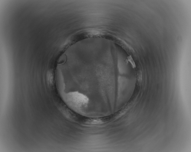 X0000112020715200908101402