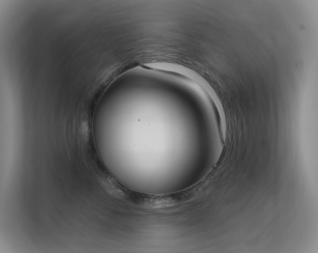 X0000112020716200908101402