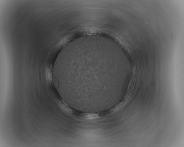 X0000112020719200908101402