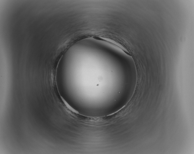 X0000112020720200908101402