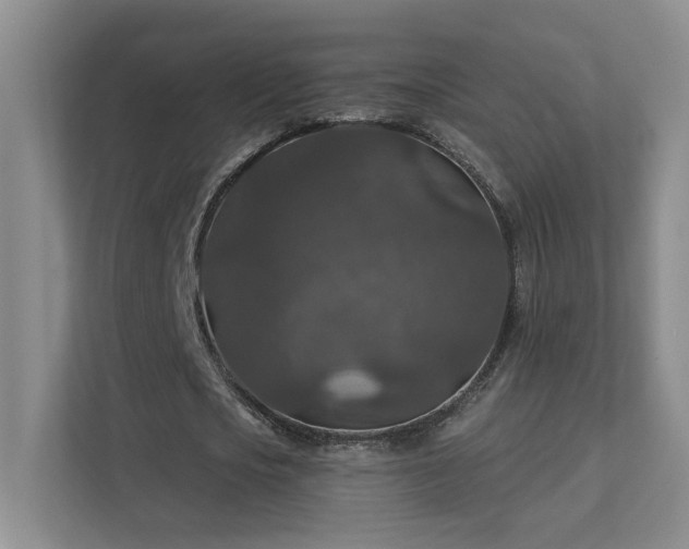 X0000112020721200908101401