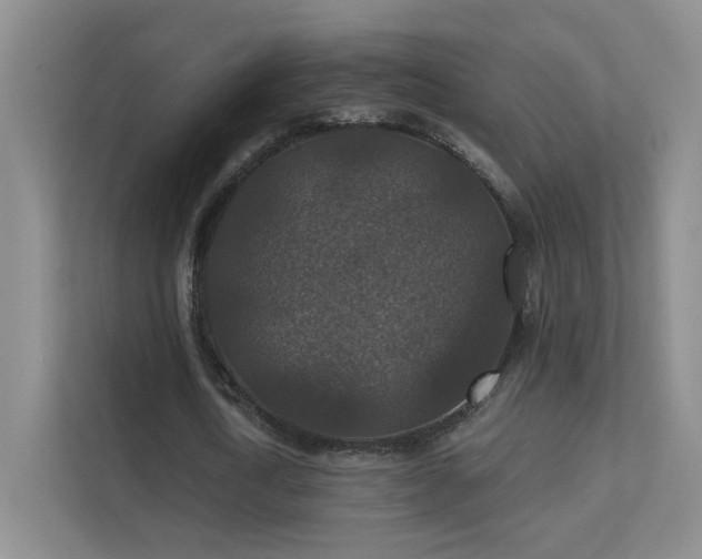 X0000112020722200908101401