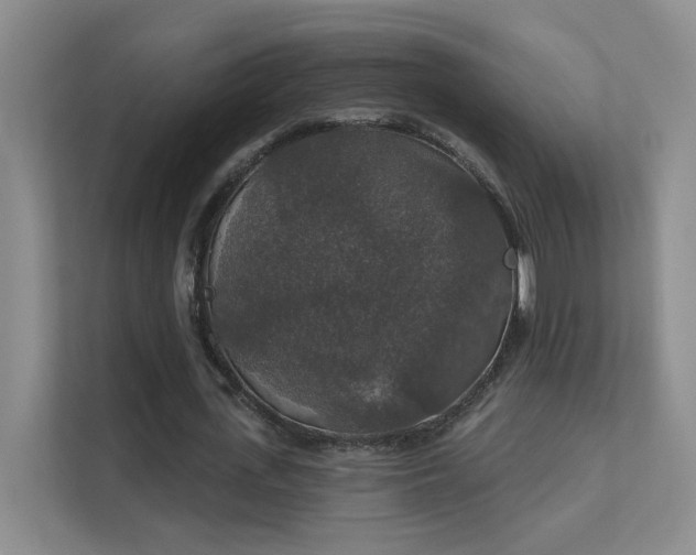 X0000112020723200908101401