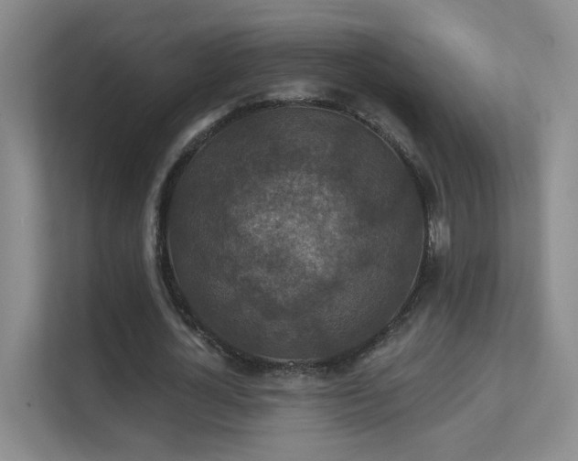 X0000112020724200908101401