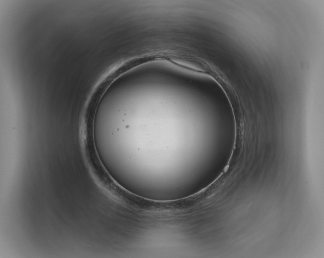 X0000112020726200908101401