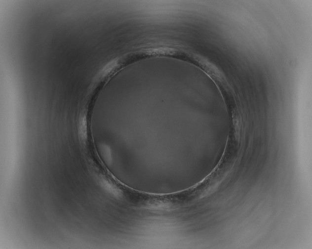 X0000112020729200908101401