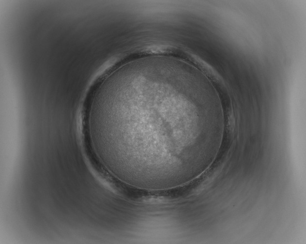 X0000112020730200908101401