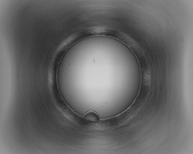 X0000112020732200908101401